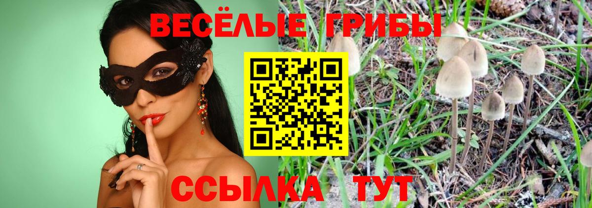 Псилоцибиновые грибы MAGIC MUSHROOMS Ессентуки