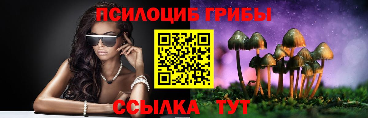 купить  сайты  Псилоцибиновые грибы мухоморы  Вход с VPN  Ессентуки 